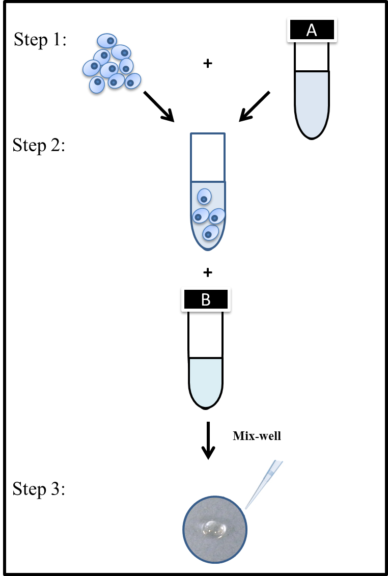 3D Cell Culture Gel - Col-Tgel for tumor cell, stem cell and primary cell, easy handling