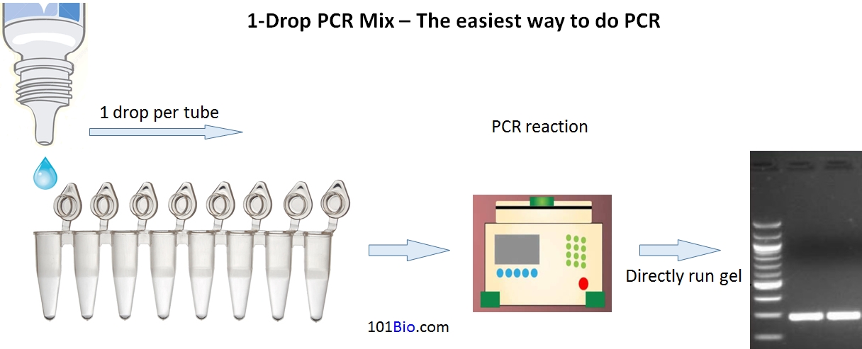1-Drop PCR Master Mix, easiest way to run PCR
